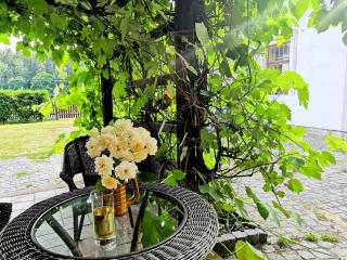 Chalupa Branžež Komárovský rybník - 3