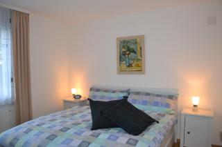 Elfe-Apartments Apartment for 6 guests with patio - Emmetten - 7