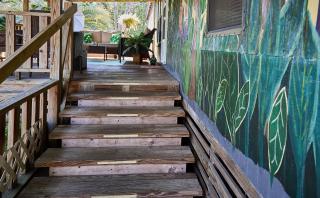 Pleasant Days Lodging Tropical Master Suite - 1