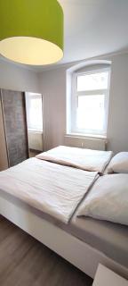 Ferienwohnung am Birkenwäldchen - Plauen - 8