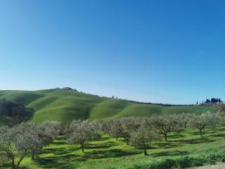 Casa Insieme - Asciano - 5
