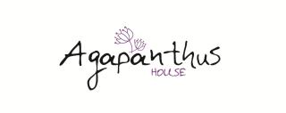 Agapanthus house - Lefkada - 9