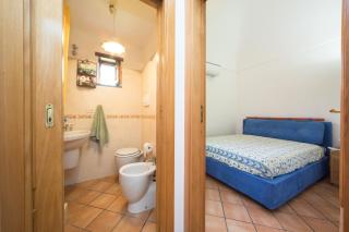 TRE PINI - Procida - 1