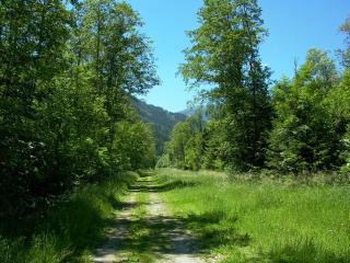 Ferienhaus Dummer - Flattach - 2