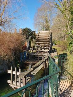 Le Chalet des Roses - Veules-les-Roses - 8