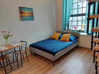 HOLA Apartamenty Pomorska 65 - Łódź - 7