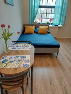 HOLA Apartamenty Pomorska 65 - Łódź - 3