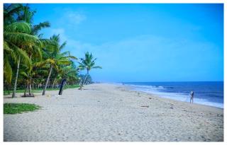Seclude Kerala, Marari Sands - Mararikulam - 5