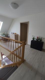 Spreewaldpension Zickert - 1