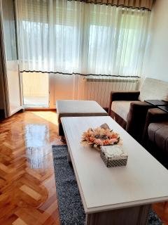 Stan na dan DUNJA 1 - Vršac - 7