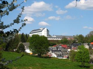 Werrapark Resort Hotel Frankenblick - Masserberg - 0