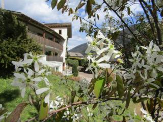 Natur Pur Hotel Unterpichl - Ulten - 9