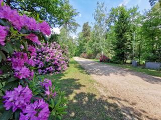 Scandinavian Lodges (by Outdoors Holten) - Holten - 5