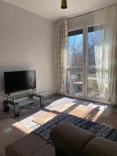 Apartmani Vila - Cetinje - 8