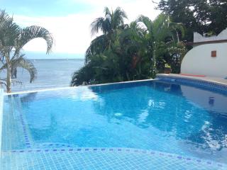 Boho-Mex Lux Beachfront Casa, private infinity pool! - 4