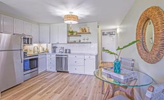 Napili Shores G154 Ocean View Studio condo - 1