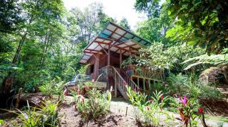 Finca Encanto Eco Lodge - Sierpe - 4