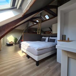 Park 43 - Haarlem - 7