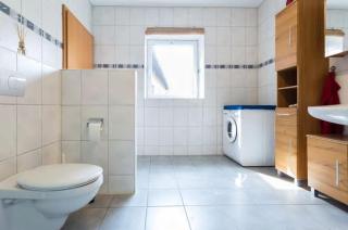 Ferienwohnung in Isenbüttel - Isenbüttel - 1