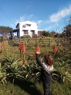 El Rancho de arenas de Jose Ignacio - 0