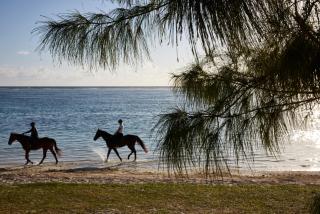 C Mauritius - Belle Mare - 4