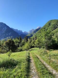 Apartment Pretner, Lepena - 1