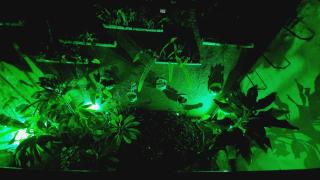 Pousada Pedras do Porto - 7