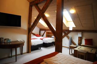 Gruyère Rooms - Gruyères - 5