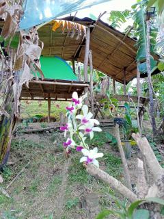 Kambal Kubo Resthouse at Sitio Singalong Bgy San Jose Antipolo - Antipolo - 1