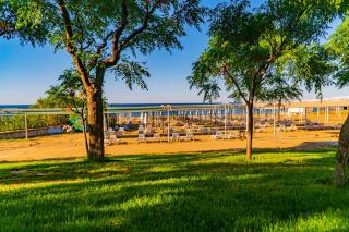 Royal Atlantis Spa & Resort - 1