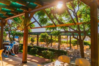 Royal Atlantis Spa & Resort - 2