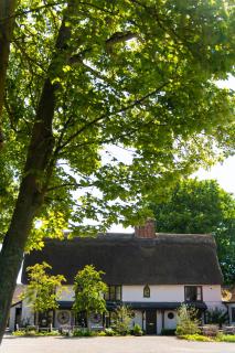 The Black Bull Inn - Balsham - 7