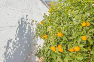 La casa di Valentina - San Vito dei Normanni - 4