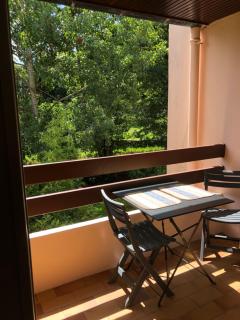 Appartement 2 pièces vue sur la rivière de l'Aven et le Bois d Amour - 5