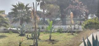 Villa Marina - San Pietro in Bevagna - 3
