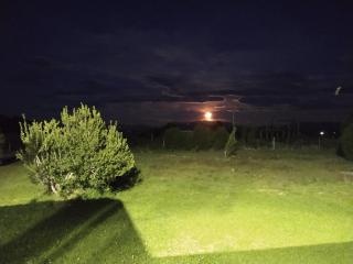 Cabaña Fer - Los Cipreses - 3