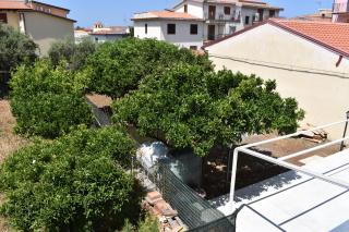 B&B Da Zio Peppe - Cirella - 8
