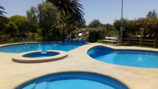 Cabañas Villa Los Platanos - La Serena - 8