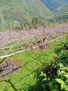 Junlin Holiday Farm - 3