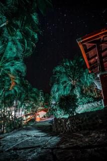 Hotel El Jardin - Montezuma - 6