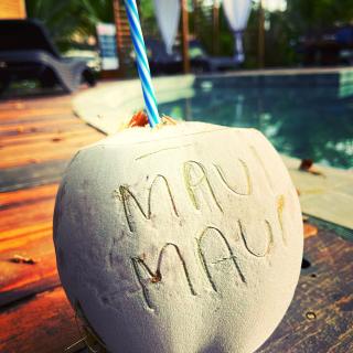 Maui Maui Wellness- Taipu de Fora - Barra Grande - 7