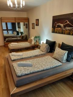 Nobless Apartment Brno - Brno - 8