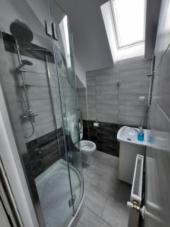 Casa de oaspeti Maximilian - 3