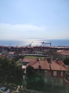 Sunny apartment in Rijeka - Rijeka - 3