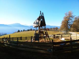 Alpenrose - 1