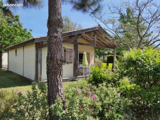 Chalet rénové, environnement très calme, piscines intérieure et extérieure chauffées, Bord du lac de Biscarosse Parentis - Parentis-en-Born - 0