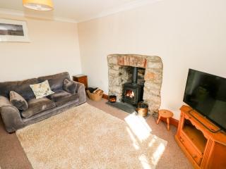 Bank House Farm - Croes-Gôch - 2