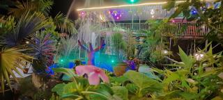 HOTEL POLOMAX - Nainital - 5