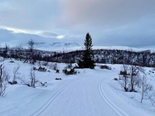 Hakkesetstølen Fjellstugu - Geilo - 3