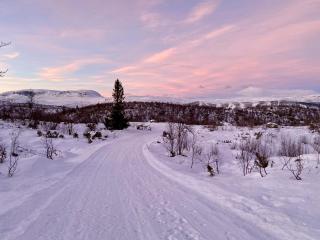 Hakkesetstølen Fjellstugu - Geilo - 4